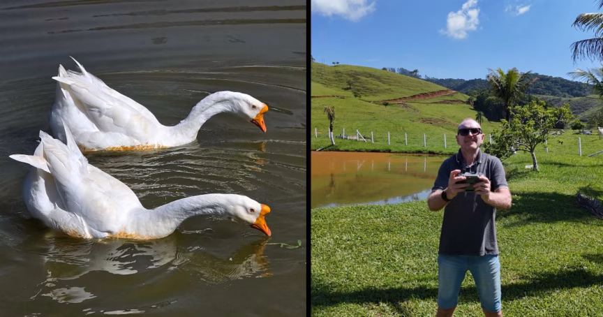 Sítio entre Brusque e Guabiruba